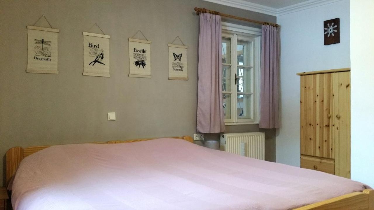 Villa Zeppelin - App Bergkristall Bramberg am Wildkogel Ngoại thất bức ảnh